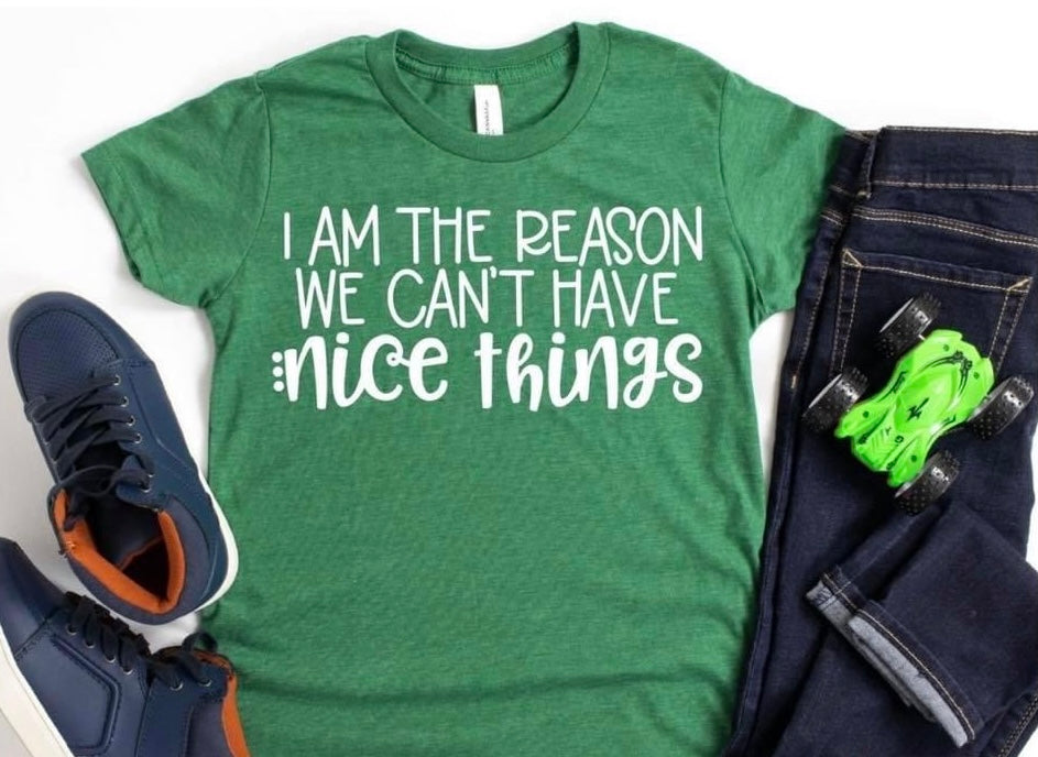 I’m the reason we can’t have nice things Shirt